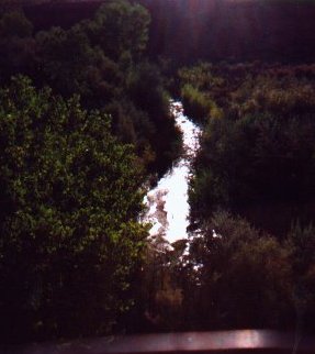 Taken looking down at the creek